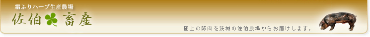 header.jpg(68898 byte)